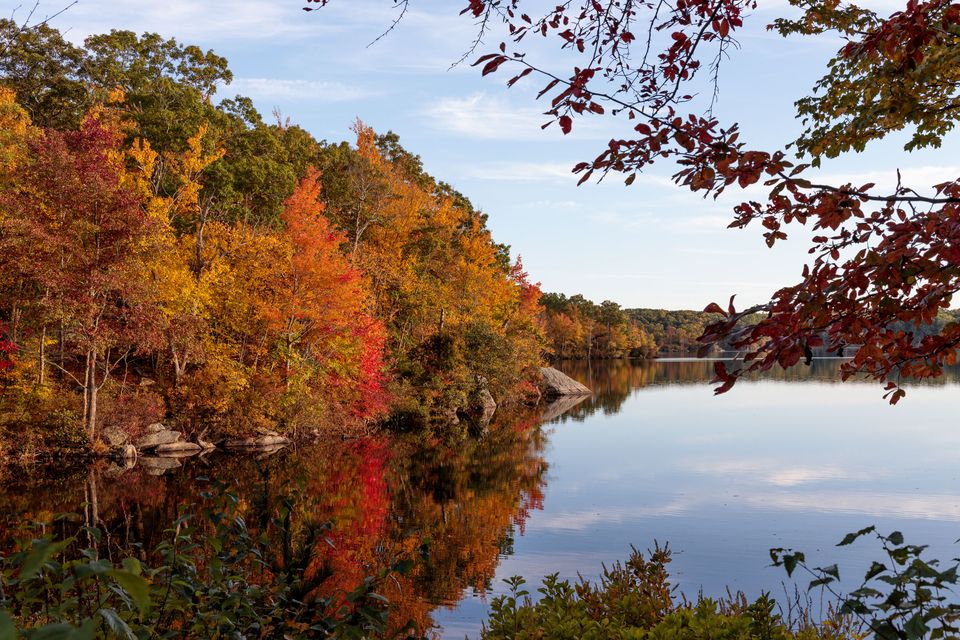 Autumn in Lincoln Woods, 2019